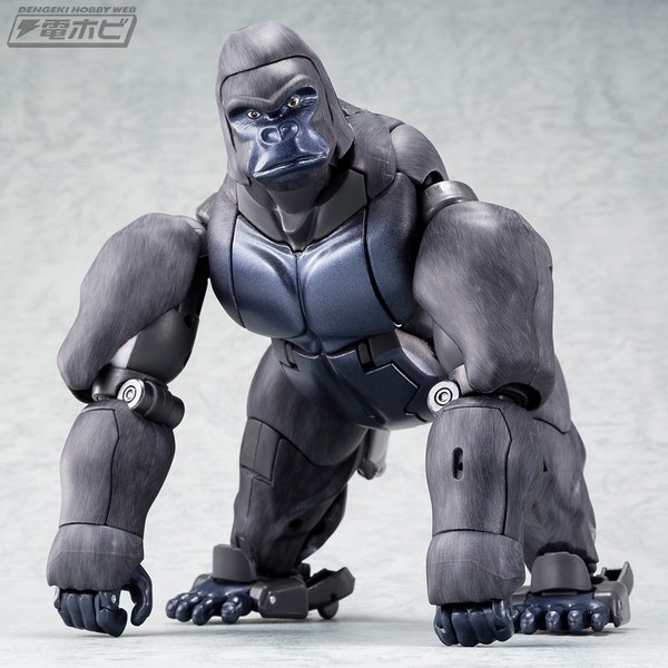 MP 32 Masterpiece Optimus Primal   High Quality Photos From Dengeki Hobby Plus Package Shot  (7 of 20)